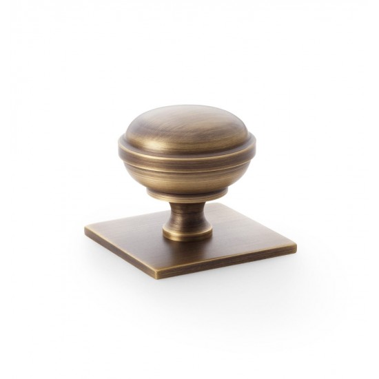 Staten Signature Cabinet Knob on Backplate