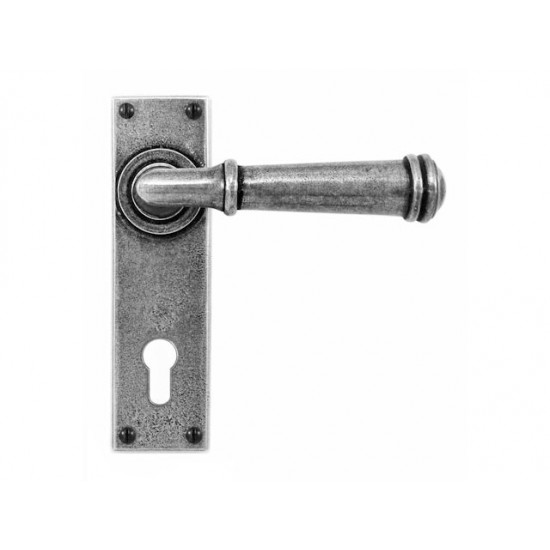 Finesse Design Durham Range Door Handle on a Long Back Plate Euro Lock Set in Pewter