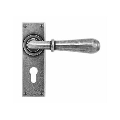 Finesse Design Fenwick Door Handle on a Back Plate Euro Lock set in Pewter